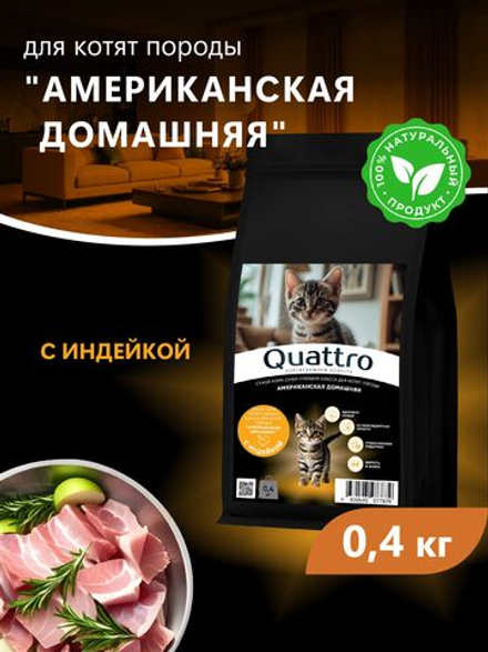 Корм сухой для котят породы Американская домашняя, с индейкой, 400 гр, QUATTRO