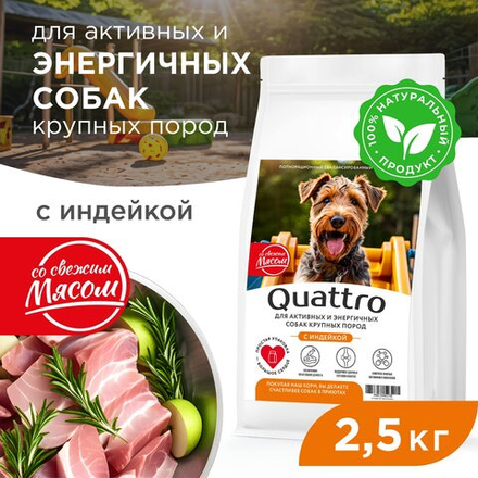 Корм сухой для взрослых собак крупных пород, премиум полнорационный комплекс, для активных и энергичных собак, с индейкой, 2,5 кг, QUATTRO