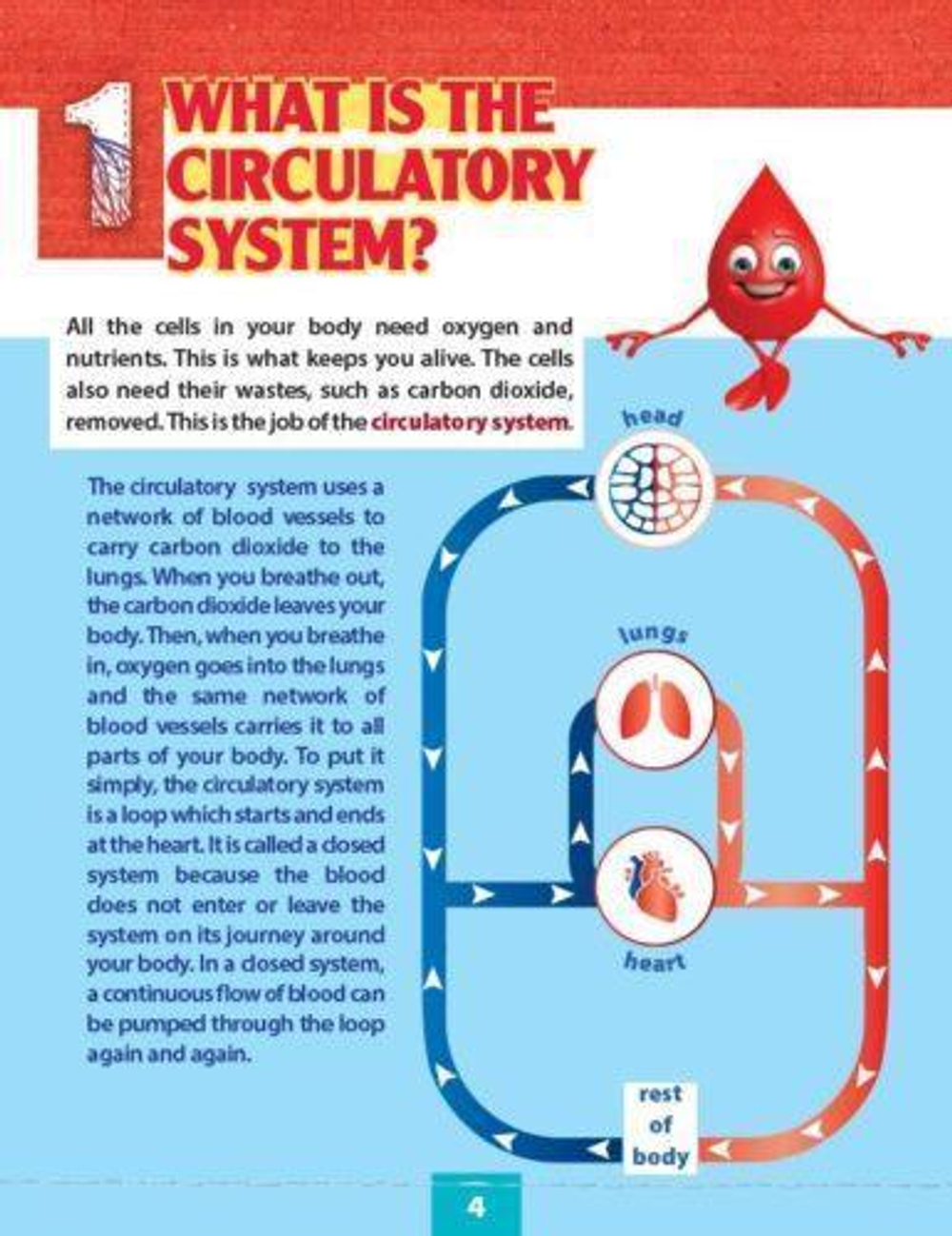 The Circulatory System. Уровень 6.  Книга для чтения с доступом к электронному приложению