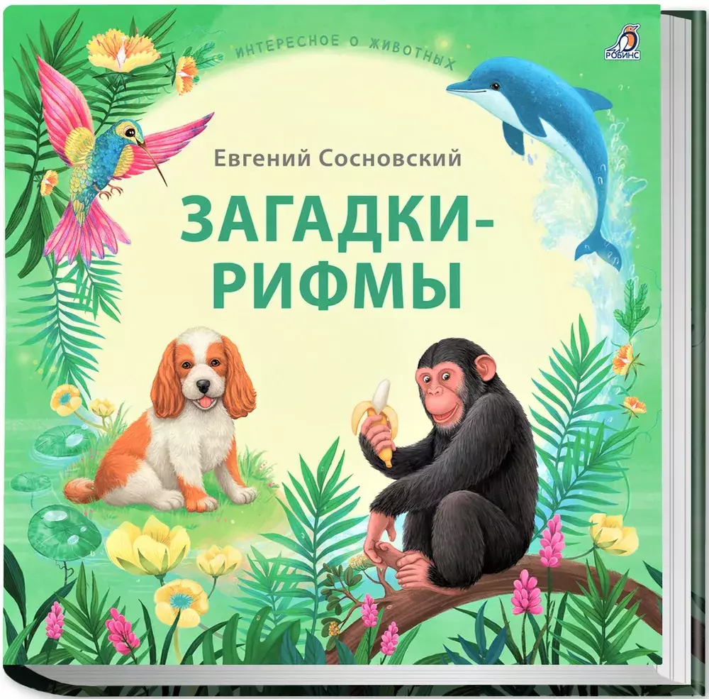 Загадки - рифмы. Подарочное издание
