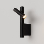 Настенный светильник (бра) Maytoni MOD433WL-L3B3K