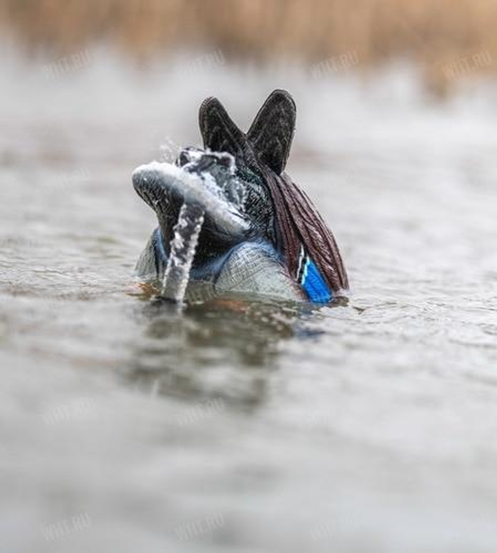 Чучело кряквы (селезень) Lucky Duck Agitator HDi с водомётом