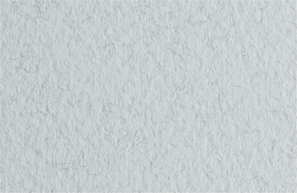 "Fabriano" Бумага для пастели "Tiziano" 160 г/м2 A2+ 50 х 65 см лист 10 л. Brina/Цвет инея 52551032