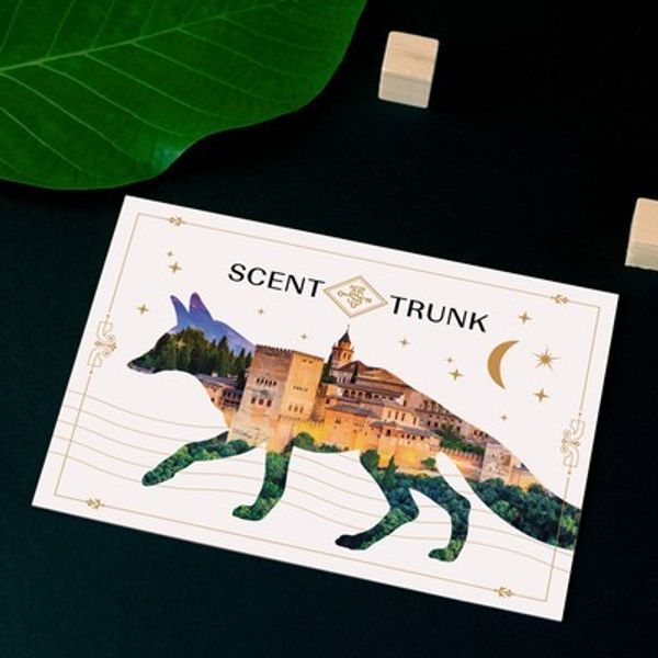 Scent Trunk November 2019