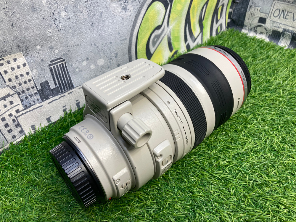 Canon EF 100-400mm 4.5-5.6L IS USM