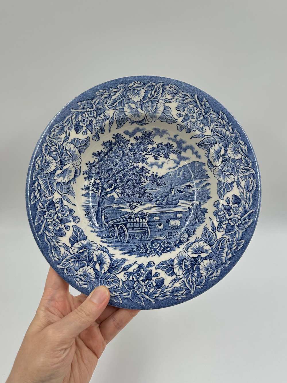 Тарелка глубокая English Ironstone