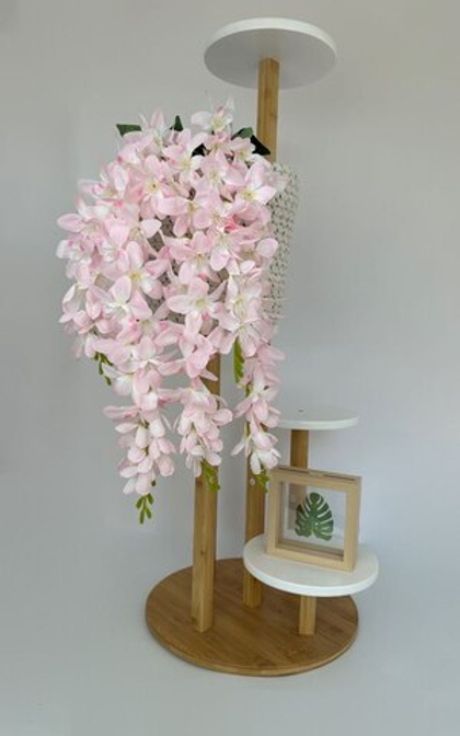 Вистерия (Глициния) / Арт 1110