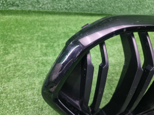 Решетка радиатора BMW X6M F96 (2019-2023)