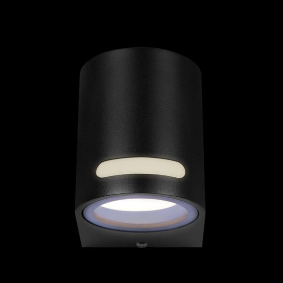 Уличный настенный светильник Loft IT Stema 100012/A