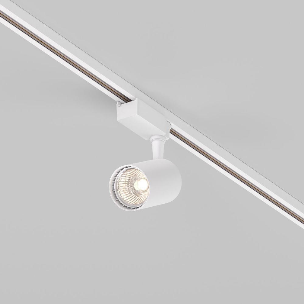 Трековый светильник Maytoni Technical TR003-1-10W3K-W-W