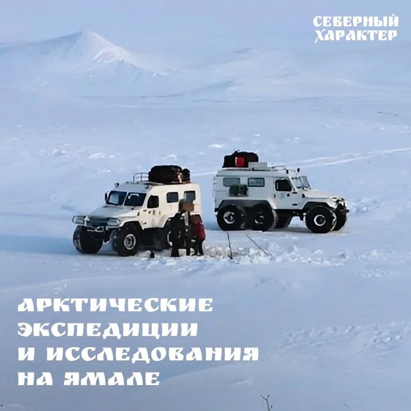Арктические экспедиции и исследования на Ямале 🌌