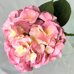 Гортензия премиум нежно-розовая