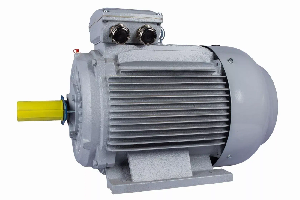 Электродвигатель ESQ PR 280 S6-SDN-Б1-S12-IE2 45/1000 IMB3