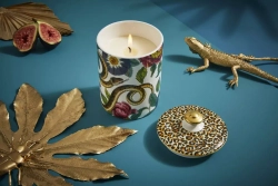 Spode - Свеча керамическая Creatures of Curiosity 15x9см / артикул   CRCWH8958-XG  / GTIN 749151785939