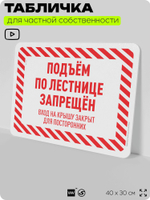 Табличка для частной территории "Подъем по лестнице запрещен", на дом, для участка, организаций и частных территорий, предупреждающая, 40х30 см, Silver Plane x Айдентика Технолоджи
