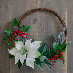 Молд  Центр Космеи, Циннии, брунии