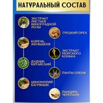 Старый капитан