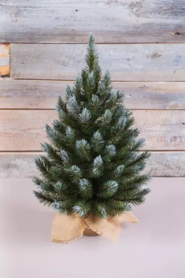 Ель Женева заснеженная 90 см., леска, Triumph Tree (73065)