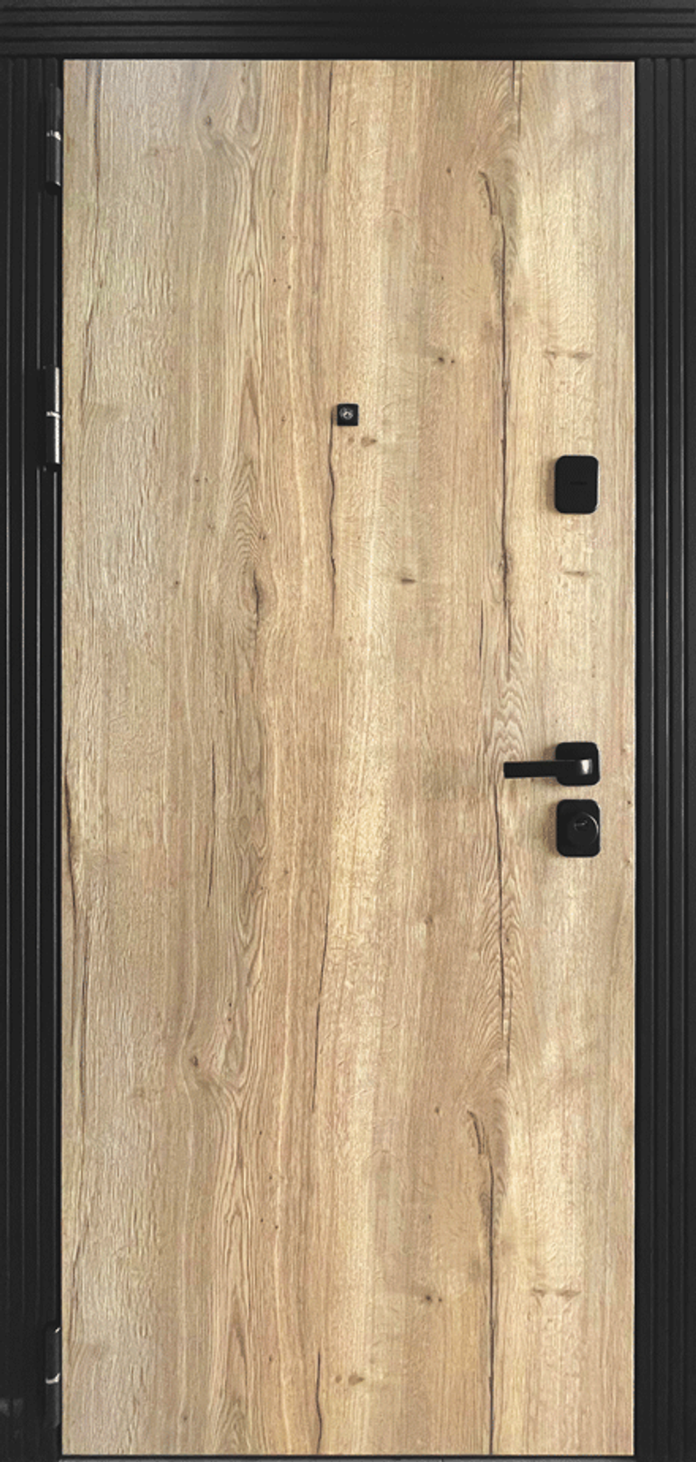 Дверь входная Бруно