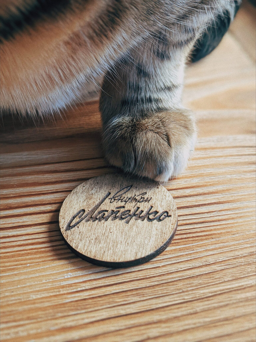 Настольная игра «Внутри Лапенко»