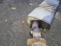 Катализатор Geely Atlas (2016-2022)