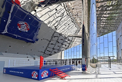 Ринг боксерский TARGEX СОРЕВНОВАТЕЛЬНЫЙ на помосте высотой 1 м