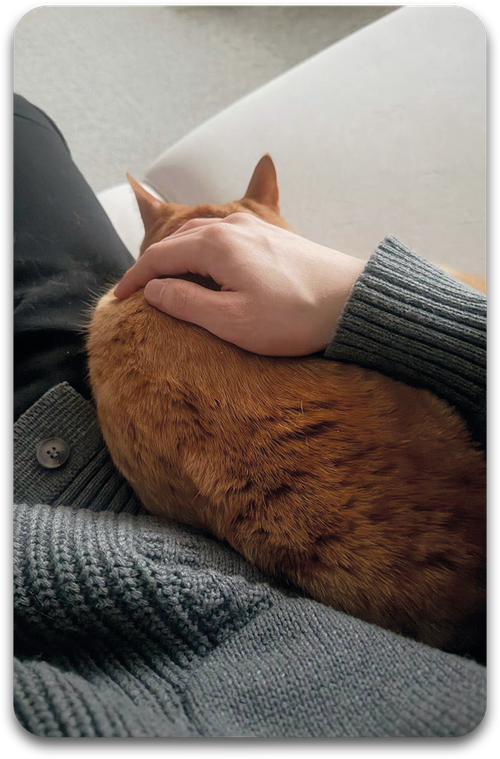 Карта / STRAY KIDS #2460