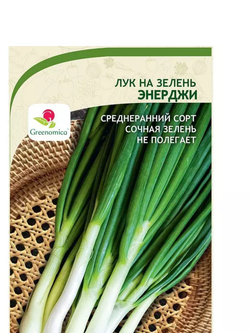 ЛУК НА ЗЕЛЕНЬ