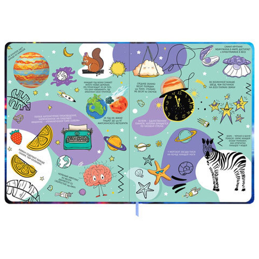 Дневник 1-11 класс 48 л., твердый, BRAUBERG, матовая ламинация, резинка, закладка-ляссе, с подсказом, "Футбол", 107235