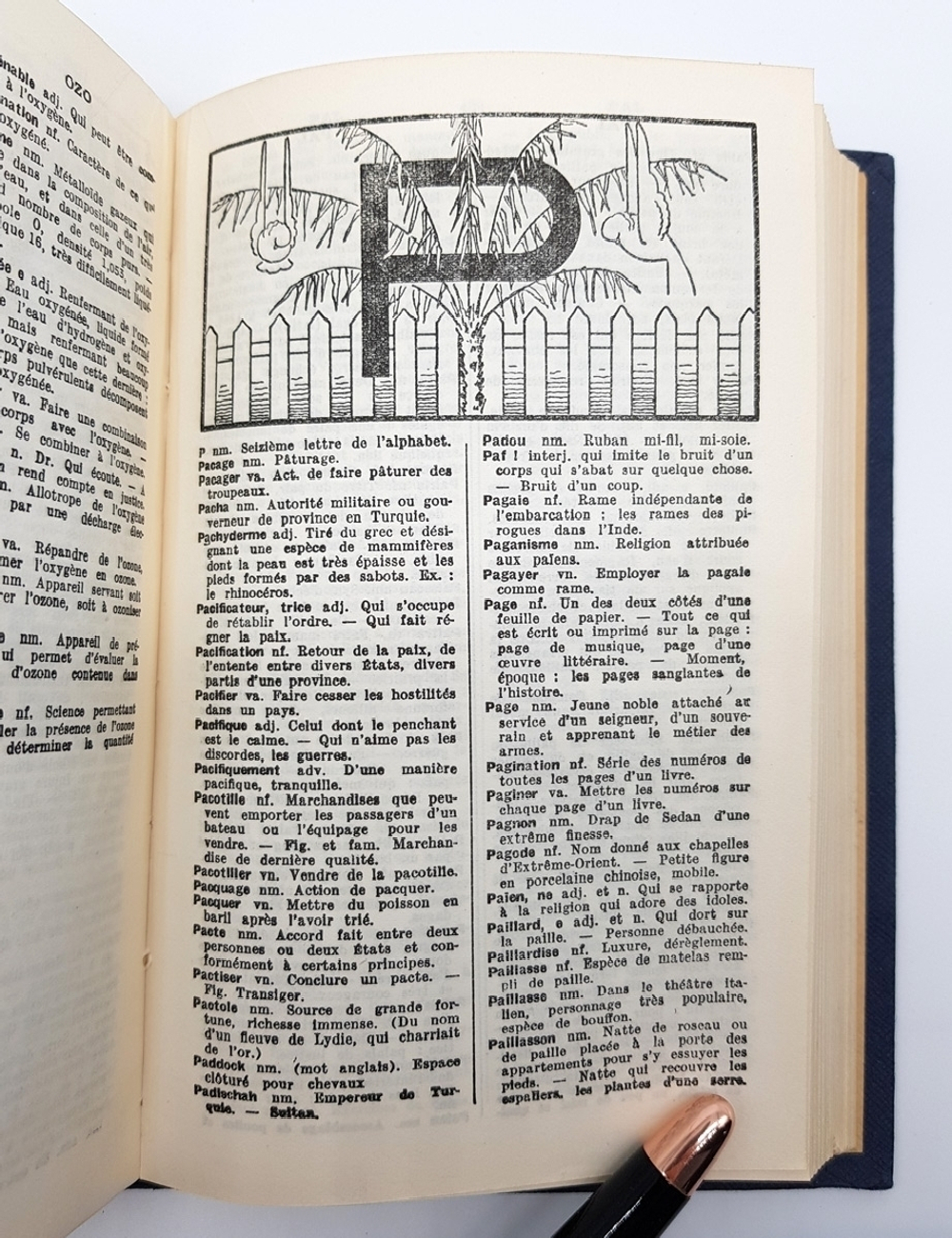 Dictionnaire francais illustre: Lettres ornees de Claudel: Parties grammaticale, historique, geographique (Иллюстрированный французский словарь: витиеватые письма Клоделя: грамматическая, историческая, географическая части), A.Rozoy, Mayer Roger