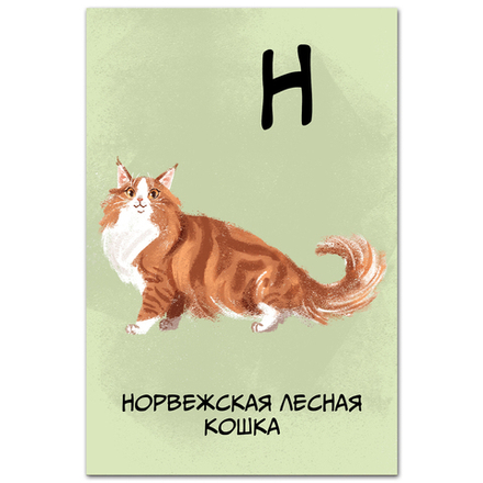 Норвежская лесная кошка