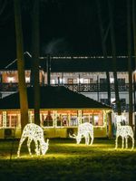 Световая фигура "олень ажурный" каркас золотого цвета