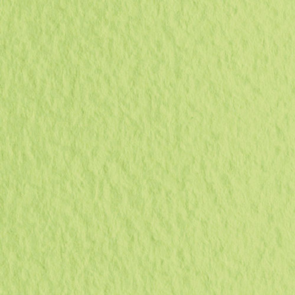 Бумага для пастели (1 лист) FABRIANO Tiziano А2+ (500х650 мм), 160 г/м2, салатовый теплый, 52551011