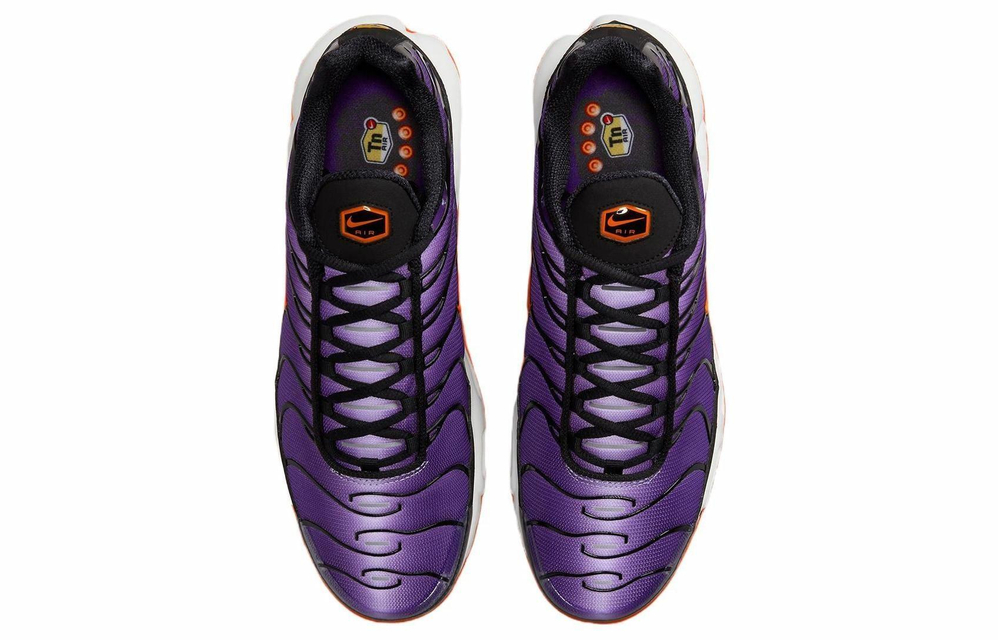 Кроссовки Nike Air Max Plus