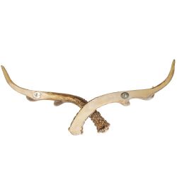 TM-38 Крючки настенные «Олений рог»