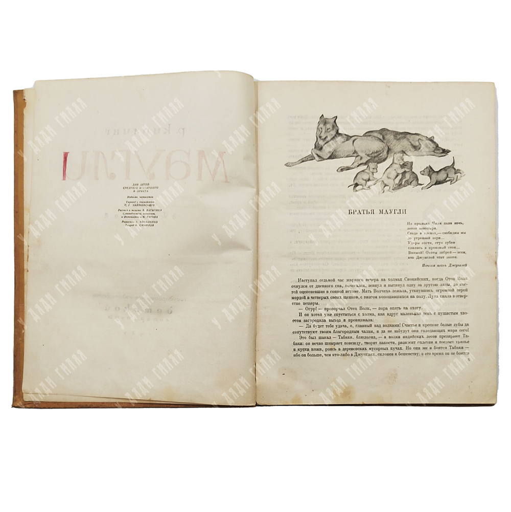 Киплинг Р. Маугли. Из книги джунглей / Рис. В. Ватагина. — М., 1934