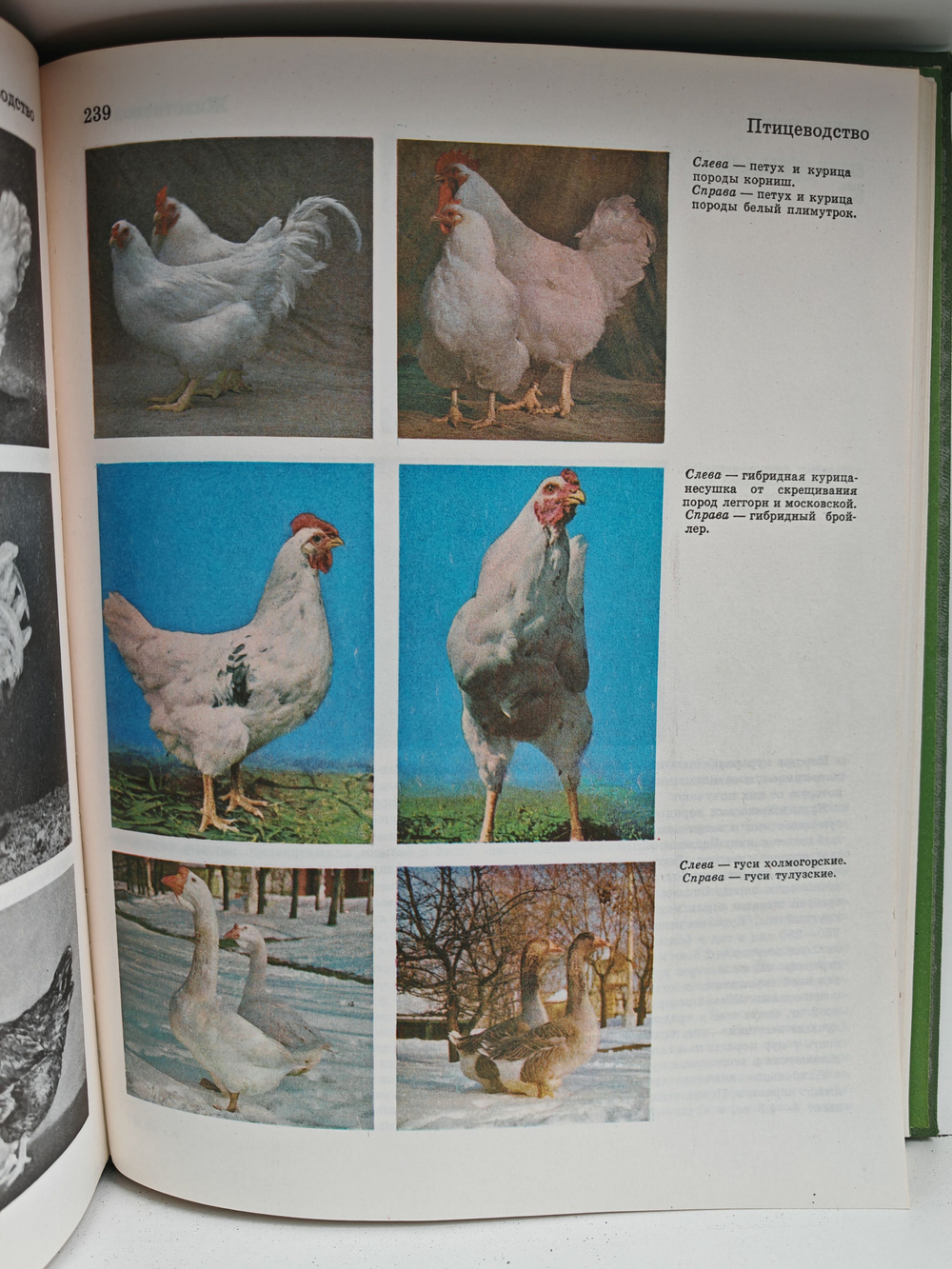 Детская энциклопедия. Том 6. Сельское хозяйство