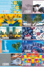 Тетрадь школьная А5 48л. клетка, офсет №1(обложка картон) в ассорт.(92%) (КПК)