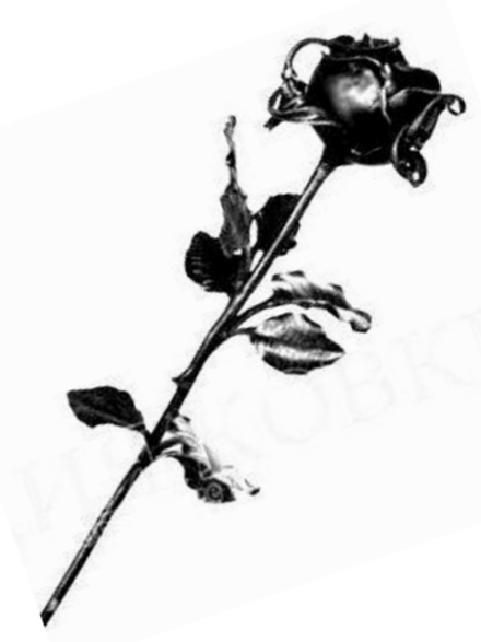 Кованый элемент "Роза" D 70 мм, длина: 500 мм, вес 0,63 кг. (не крашеная)