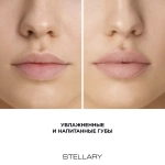 Stellary Hydrating Lipstick Cult Classic Увлажняющая губная помада с гиалуроновой кислотой 08 Розовый