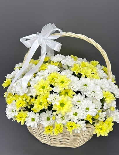 Корзина "ромашек" (15 веток)