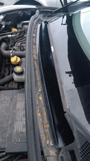 дождевик рено гранд сценик