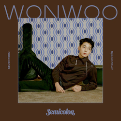 Альбом Seventeen - ;(Semicolon) Special Album