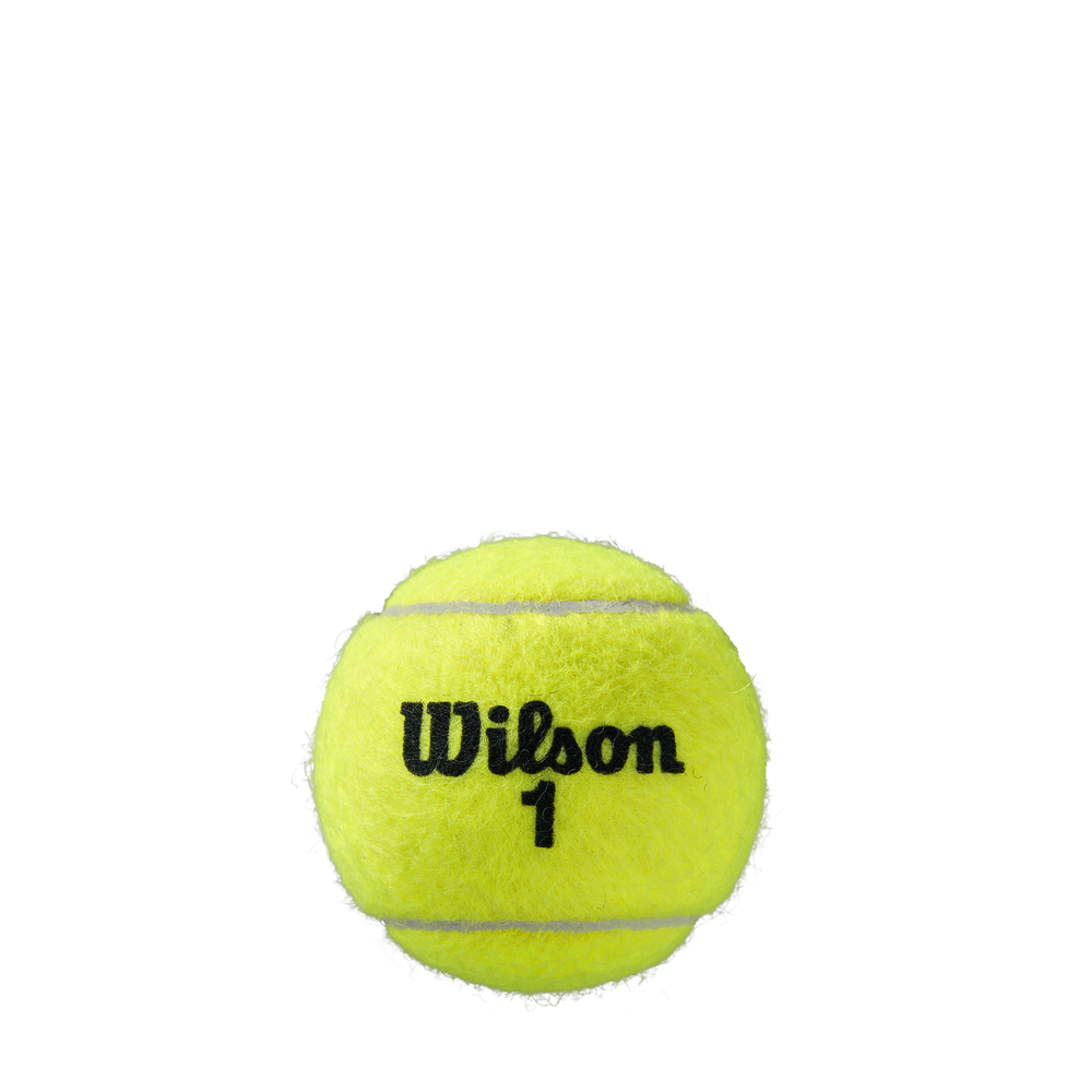Теннисные мячи Wilson Roland Garros Clay 2 x 4B