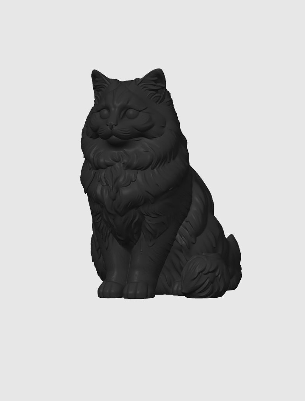 Рэгдолл кошка