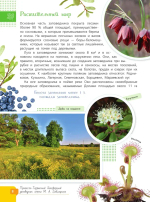 Красная книга Заповедники России Животные и растения