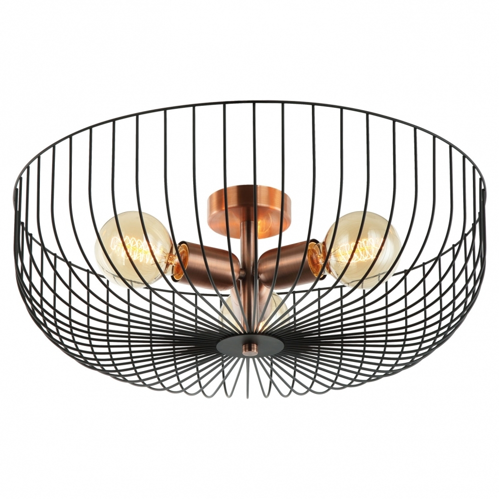 Потолочный светильник Lussole Loft Brooks LSP-8250