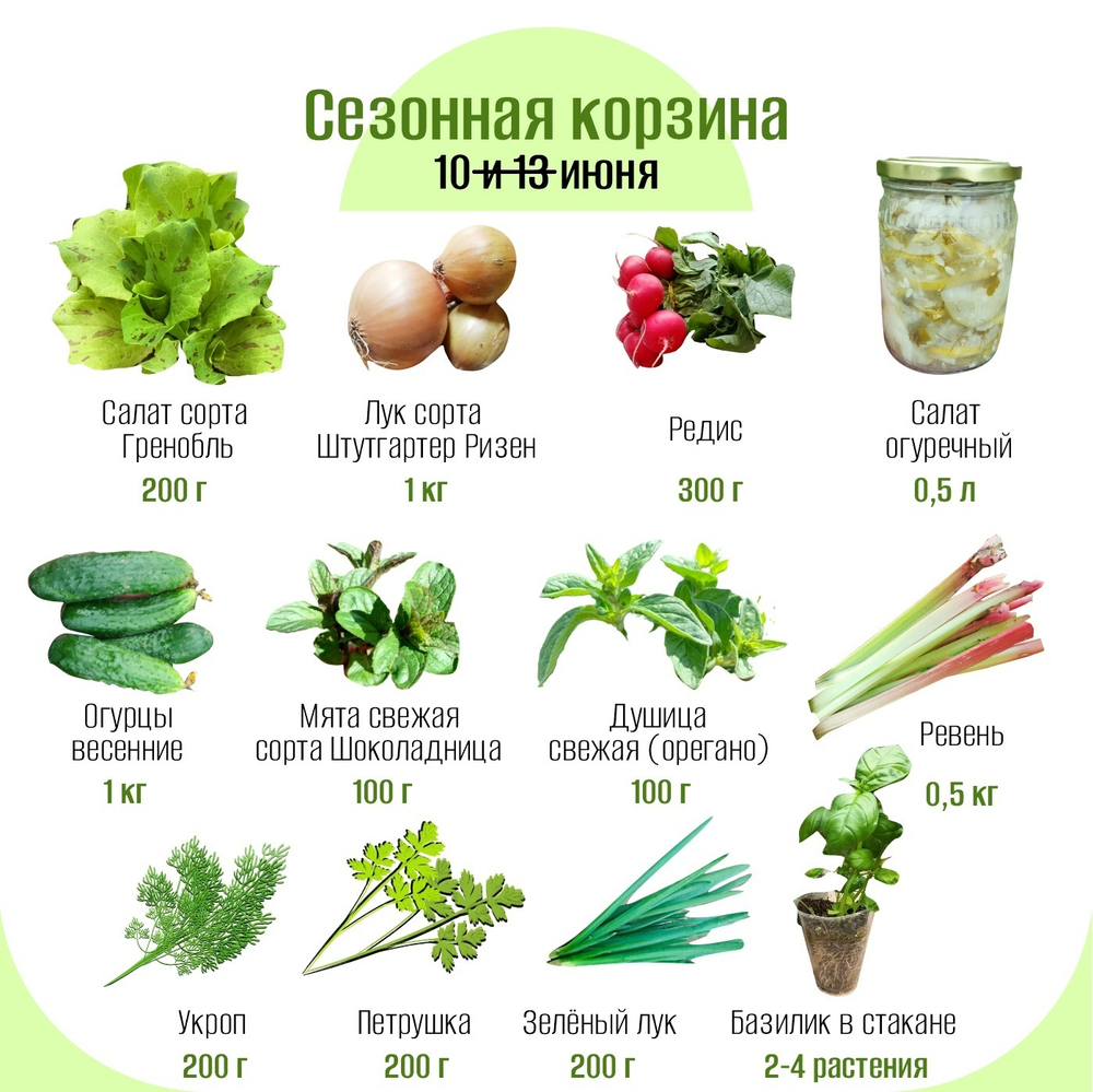 Сезонная корзина