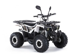 Квадроцикл бензиновый MOTAX ATV GRIZLIK SUPER LUX 125 сс NEW (AB)