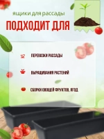 Ящик под рассаду Садовит №1 37x14x9см *1шт